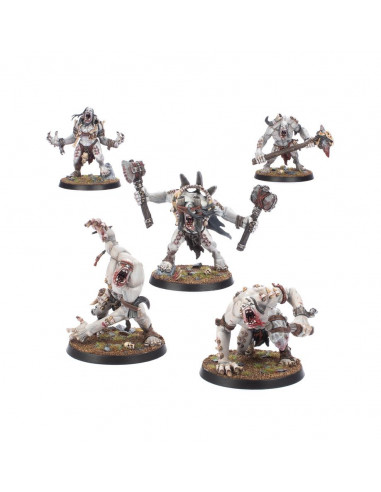 Warcry: Meuteguele d'Engorgeurs - 5 figurines - Warhammer Age of Sigmar