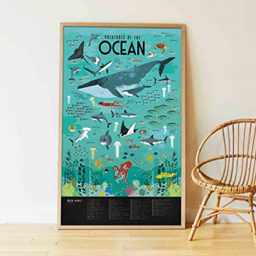Poppik Kit d'autocollants Découverte Oceans - À partir de 6 ans - Kit d'affiches éducatives pour enfants