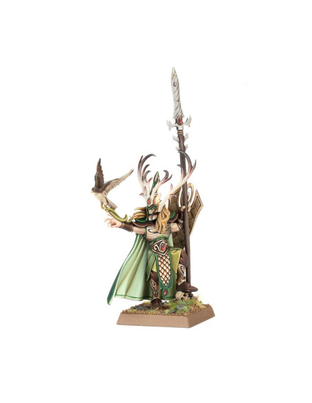 Araloth : Seigneur de Talsyn - Warhammer The Old World