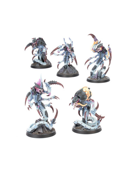Kill Team - Typhon - Warhammer 40K