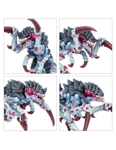 Kill Team - Typhon - Warhammer 40K