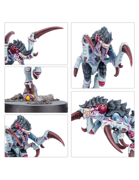 Kill Team - Typhon - Warhammer 40K