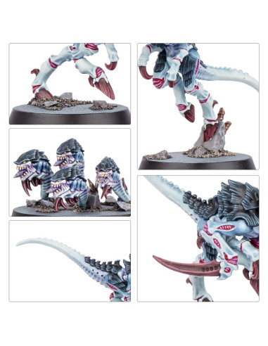 Kill Team - Typhon - Warhammer 40K