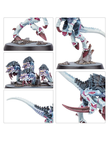 Kill Team - Typhon - Warhammer 40K