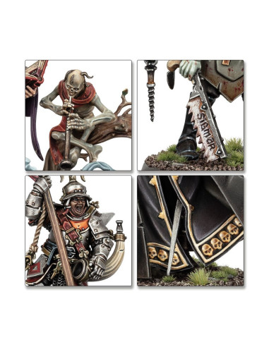 Spearhead - Cities Of Sigmar / Zenestra's...