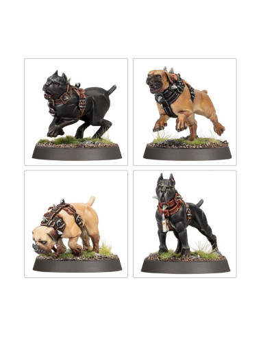 Cities Of Sigmar - Ven Denst's Hounds / Dogues...