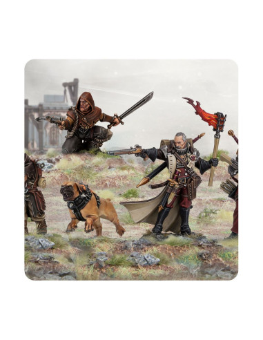 Cities Of Sigmar - Ven Denst's Hounds / Dogues...