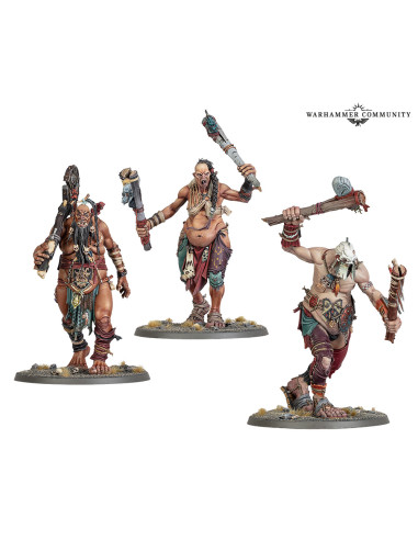 Soon of Behemat - Boss Stompers - Warhammer Age...