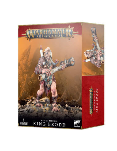 Warhammer Ao S   Sons Of Behemat Le Roi Brodd 
