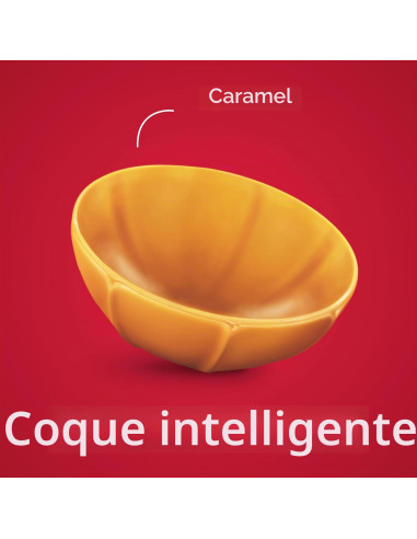 Toffifee Chocolat Blanc, Bonbons à La Noisette Et Au Caramel   1 X 125 G 