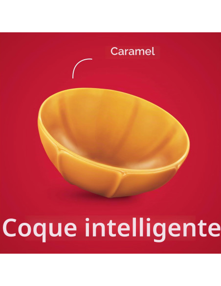 Toffifee Chocolat Blanc, Bonbons à La Noisette Et Au Caramel   1 X 125 G 