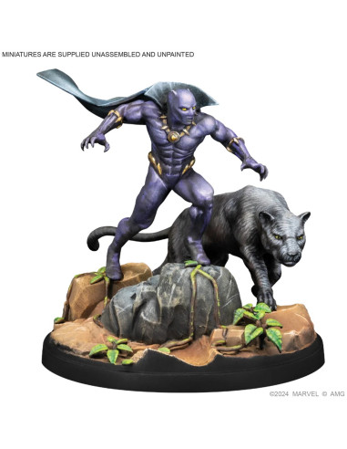 Black Panther of Bast & Namor the Submariner -...