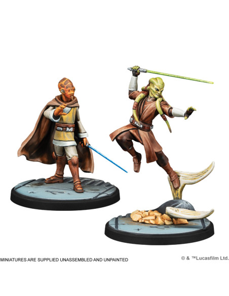 Requesting Your Surrender - Star Wars Shatterpoint