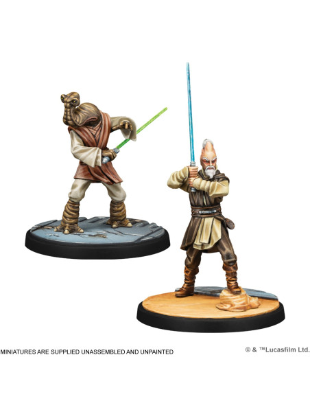 Wisdom of the Council - Star Wars Shatterpoint