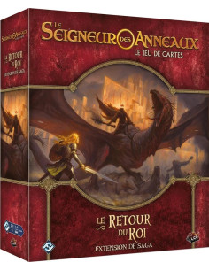 Le Retour du Roi - Le Seigneur des Anneaux JCE