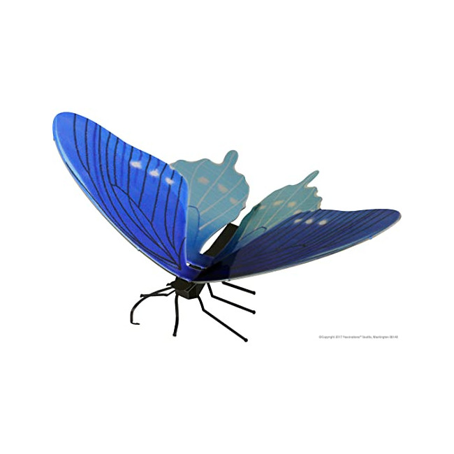 fascinations : Pipevine Swallowtail Butterfly - Kit de modèles en métal 3D.