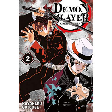 Demon Slayer - Tome 02