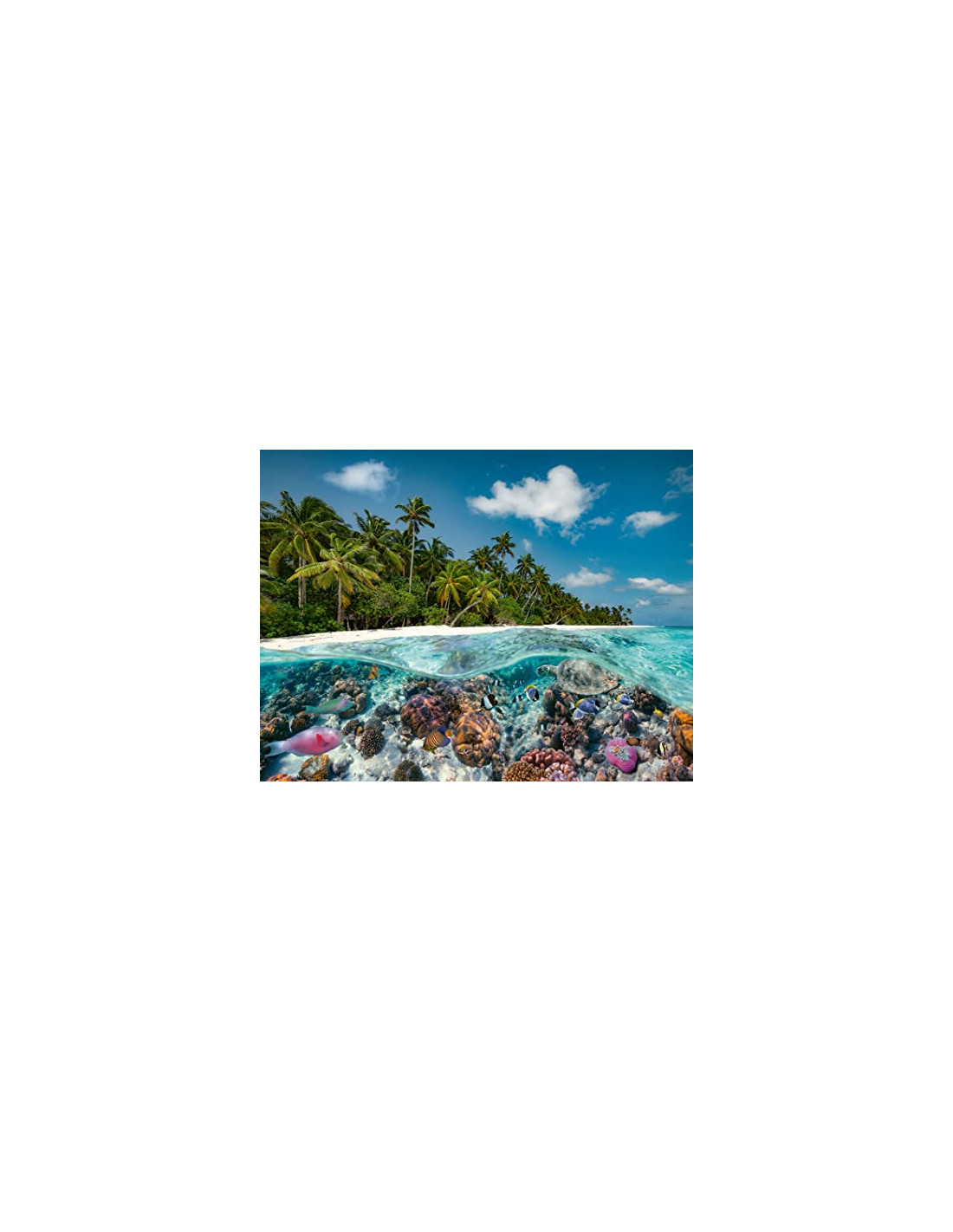 Puzzle Adulte - Une plongée aux Maldives 2000 pièces