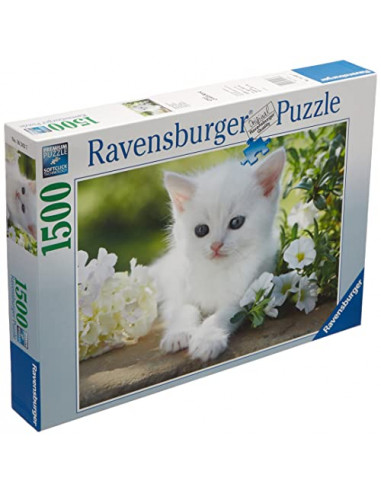 Ravensburger - 16243 - Puzzle - Chaton Blanc - 1500 pièces